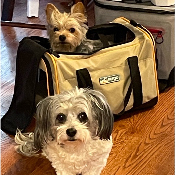 Meet your Posher, Na - Picture 5 of 11